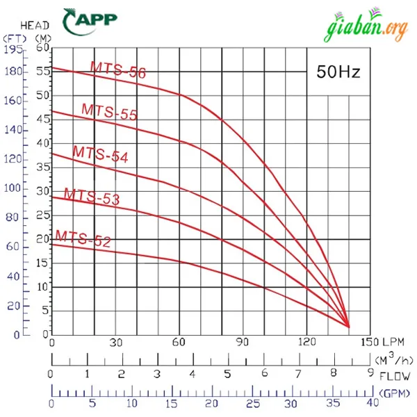 Máy bơm APP HVF-163 (3HP 220v) - Ảnh 2