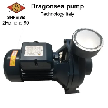 Máy bơm Dragonsea 2Hp họng 90
