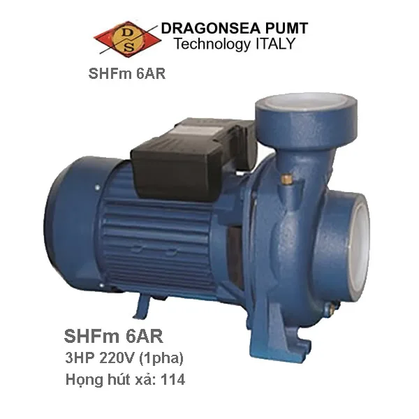 Máy bơm lưu lượng Dragonsea SHFm6C 1.5HP họng 90 - Ảnh 2