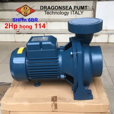 Mô tơ máy bơm Dragonsea 2Hp họng 114 SHFm6BR