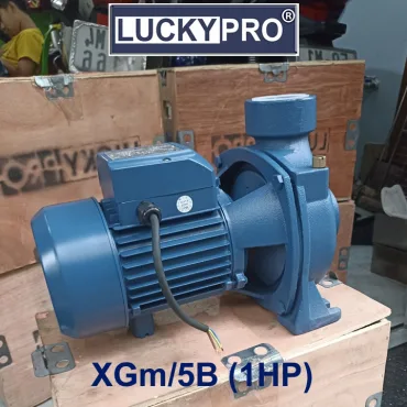 Máy bơm Lucky Pro 1HP (XGm/5B)