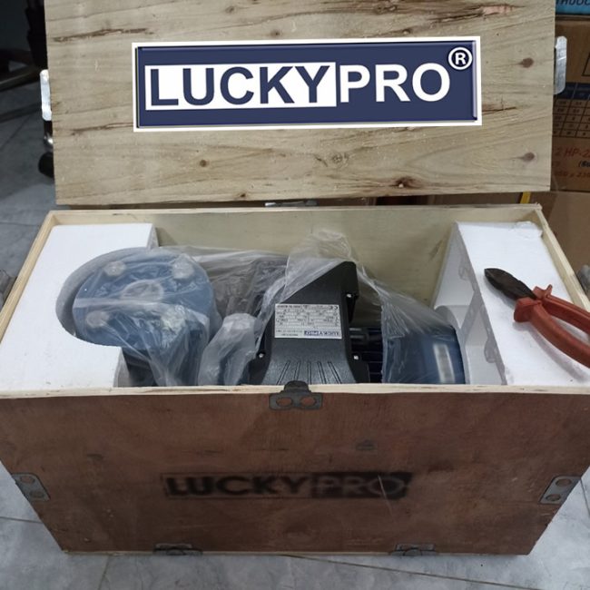 MÁY BƠM MẶT BÍCH 3HP LUCKY PRO ACm 32/160B
