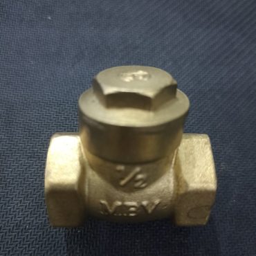 VAN LÁ 1 CHIỀU 21 ĐỒNG MINH HÒA