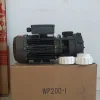 Máy bơm nước Ewala WP200-I 2Hp