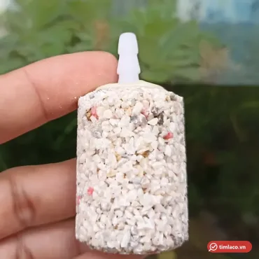 Cục sủi oxy sạn lớn hình trụ, hạt sạn trắng xen hạt đỏ, có đầu nối nhựa trắng, cầm trên tay