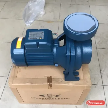 Máy bơm ly tâm Dragonsea họng lớn màu xanh đặt trên thùng carton in chữ Dragonsea Pump (ảnh minh hoạ dòng hàng)