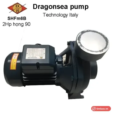 Máy bơm lưu lượng Dragonsea dòng SHFm thân xanh đậm, họng 90, nhìn nghiêng (ảnh minh hoạ dòng hàng)