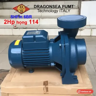 Máy bơm lưu lượng Dragonsea dòng SHFm thân xanh, họng 114, đặt trên thùng hàng (ảnh minh hoạ dòng hàng)