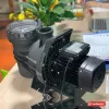Máy bơm hồ bơi APP dòng SWP đầu nhựa đen, giỏ lọc rác nắp trong, đặt trên bàn (ảnh minh hoạ dòng hàng)
