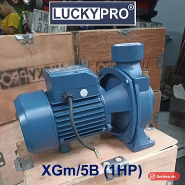Máy bơm lưu lượng Lucky Pro XGm/5B 1HP họng 60 đặt trên thùng gỗ Lucky Pro