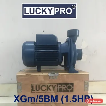 Máy bơm lưu lượng Lucky Pro XGm/5BM 1,5HP họng 60 đặt trên thùng gỗ Lucky Pro