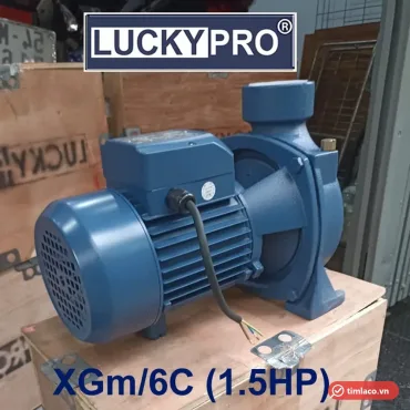 Máy bơm lưu lượng Lucky Pro XGm/6C 1,5HP họng 90 đặt trên thùng gỗ Lucky Pro