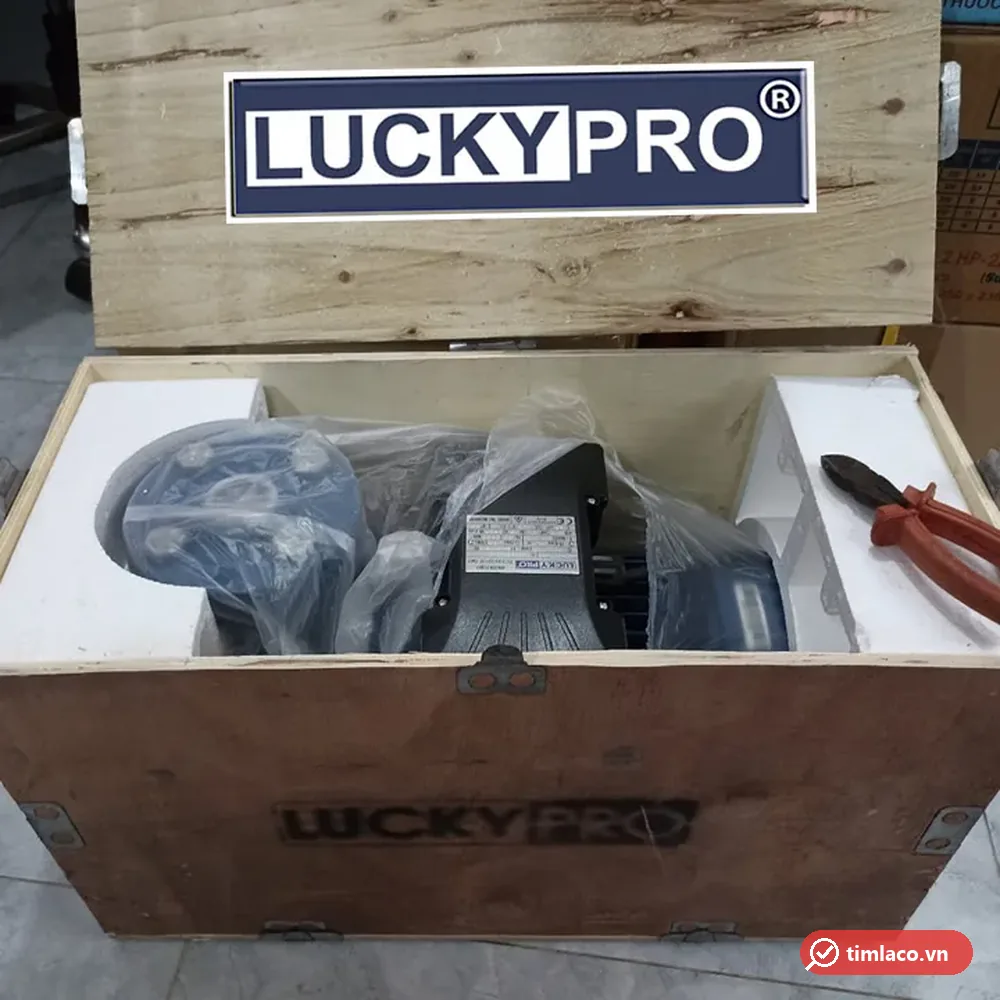 Máy bơm mặt bích Lucky Pro bọc nilon trong thùng gỗ in chữ Lucky Pro (ảnh minh hoạ dòng hàng)