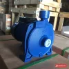 Máy bơm đĩa Adelino thân xanh, chữ Adelino trên hộp điện, họng 1 inch (ảnh minh hoạ dòng hàng)