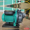 Máy bơm nước biển Wilo PU-S750E đầu nhựa đen, động cơ xanh, đặt trên đế nhựa