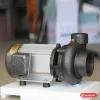 Máy bơm Tân Hoàn Cầu dòng Vina Pump, đầu bơm sơn đen, cửa hút phía trước, cửa xả phía trên, thân động cơ nhôm (ảnh minh hoạ dòng hàng)